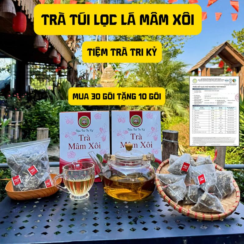 TRÀ TÚI LỌC MÂM XÔI RỪNG TỰ NHIÊN - MUA 30 TẶNG 10 MUA 60 TẶNG 15 - Tiệm Trà Tri Kỷ - Nước trà chè tea