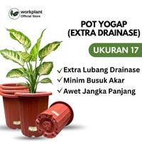 Gambar Pot Yogap (Extra Drainase) - Ukuran 17 Pot Bunga Tanaman Hias Tebal - Merah Bata, 1 pcs dari workplant official Kota Surabaya 1 Tokopedia