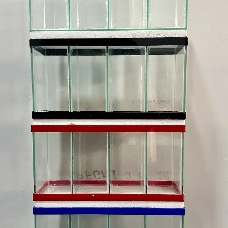 Betta tank with 4 slots made of 1/8 glass