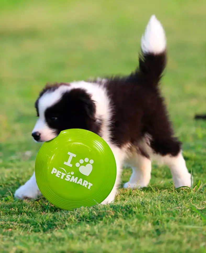 Pet Frisbee/Dog Toy/Special Dog Training/Interactive/Bite Resistant/Outdoor Training/Small, Medium, and Large Dog Soothing Tool
