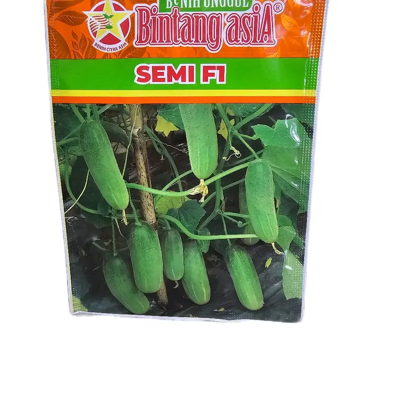 Bibit Mentimun F 1 Benih Timun Semi F1 Bintang Asia 900 Butir 20gr Hijau