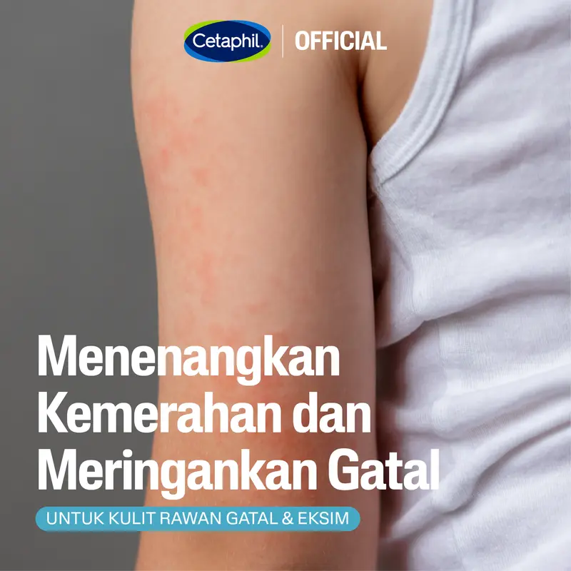 Cetaphil Pro Ad Derma Repair Cream 227g Triple Pack 4