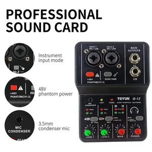 COD Teyun Sound Card USB Mini Portable 2 Way Driver Free Mixer - Q12 Terbaru