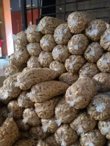 BASMUT Mini Mekar 1 Kg BACIMUT Pizza Daun Jeruk Mentah KILOAN Gurih Bacimut Ide Jualan TERLARIS Jajanan Makanan