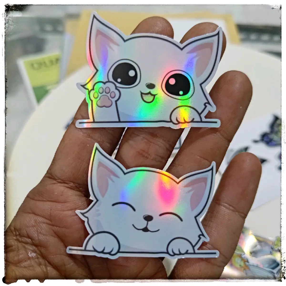 A4, sticker kucing, kucing lucu helogram