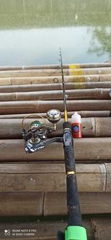 Product Review of Umpan Tiren MH Mancing Siap Pakai from y** 0