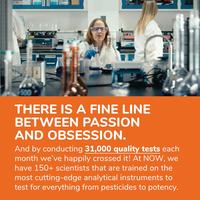 Gambar Now L-Glutamine 500mg Capsules Non GMO Supplement Vegan Lglutamine dari Tokovita1981 Kota Administrasi Jakarta Utara 4 Tokopedia