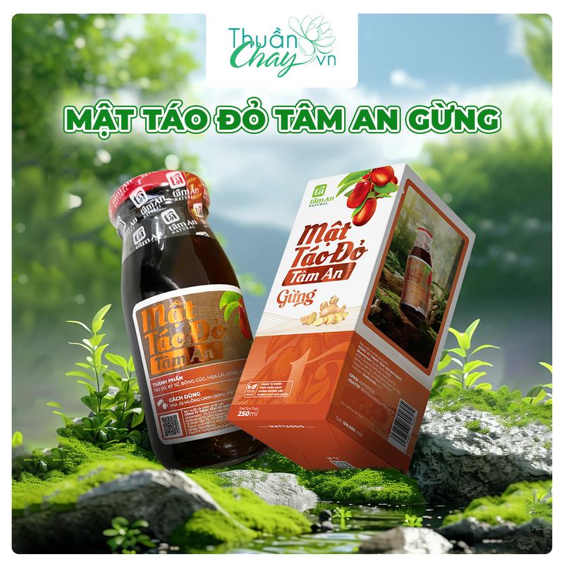 Mật Táo Đỏ Tâm An Gừng 250ml Tự Nhiên Mật Táo Gừng Tươi Táo Đỏ Kỷ Tử Mật Mía Bông Cúc Hoa Nhài Thoải Mái