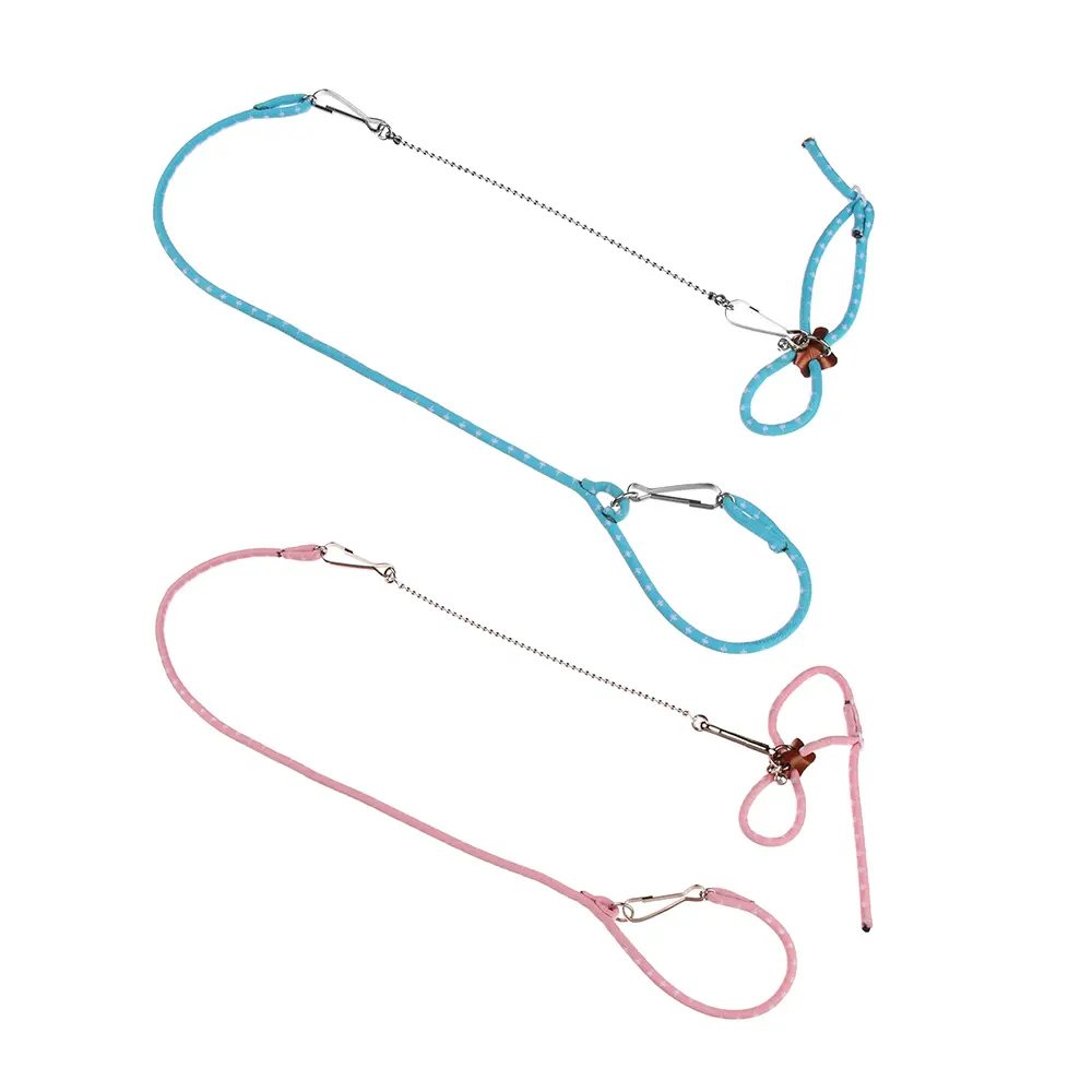 Durable Adjustable Pet Pig Ropes Bird Leashes Parrot Mouse Rope Ferrets Rat Leash Hamster Harness