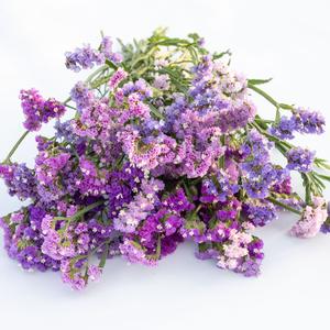Siempreviva Limonium 100 granos Variedad de Colores Fácil de Cultivar Flor Secada Ideal Decoración Hogar Fiestas Arreglos Florales