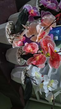 Product Review of Paket Bunga 4pcs sesuai foto artificial vas aesthetic from M**a M**a 0