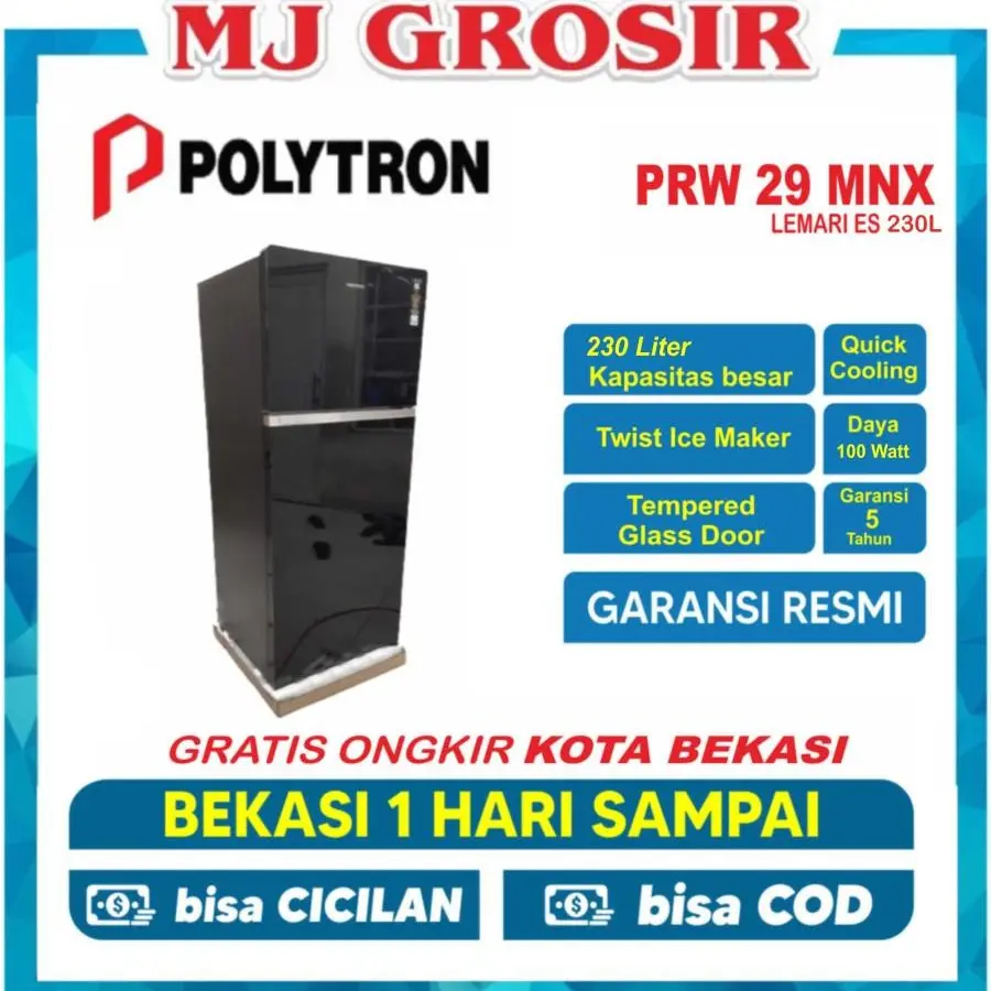 POLYTRON 29 MNX