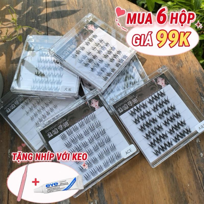 Mi Sẵn Keo - Lông Mi Tự Dính Cao Cấp Tái Sử Dụng Không Cần Keo Tiết K