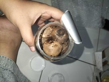 Product Review of Black Garlic Bawang Hitam Tunggal Bawang Hitam Lanang  Rempah from I**y 0