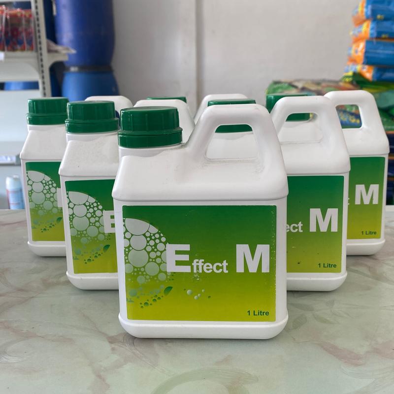 EM1 1Liter (Genuine Effective Microorganism) untuk Penternakan - TikTok ...