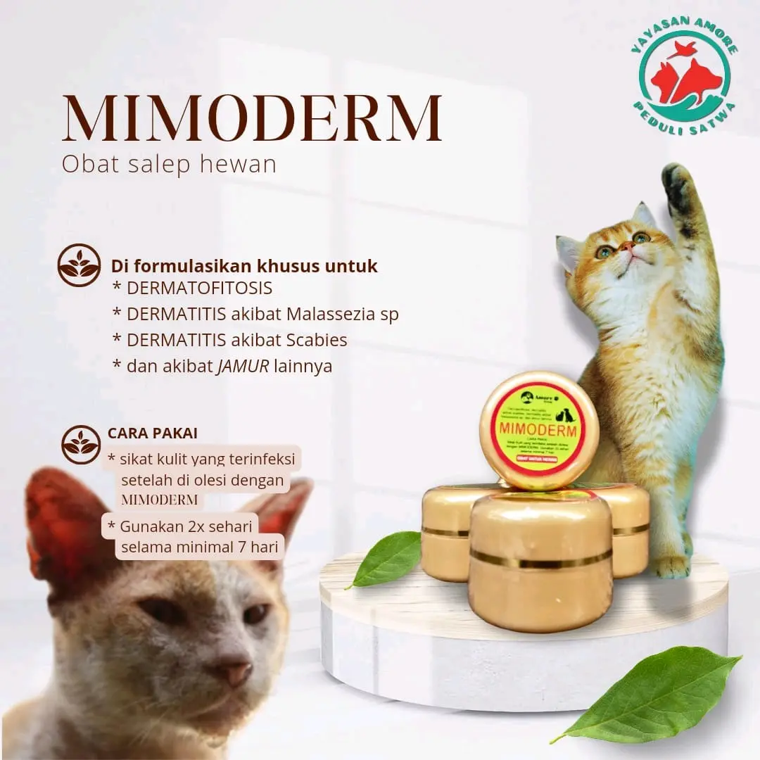MIMODERM Obat Salep Hewan