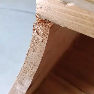 Rak Botol Marjan Bahan Kayu Jati Belanda untuk Penyimpanan Botol Anda