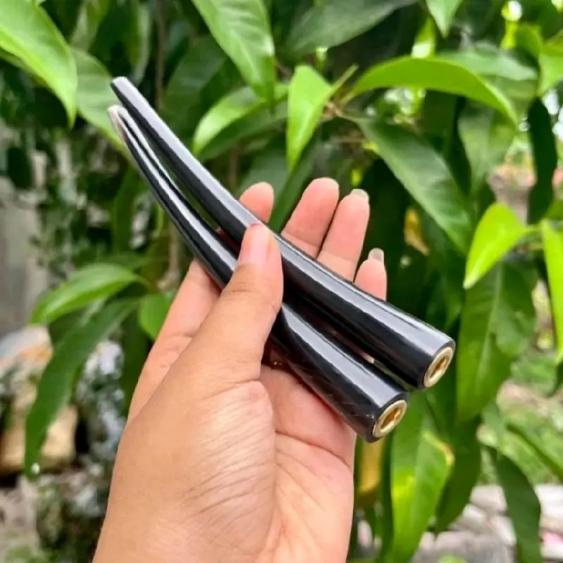 sumpit sungu hitam 10cm mulus 0