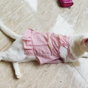 Baju Kucing Mini Dress Birizy Series Baju Kucing Size S-XXL | Baju Kucing Tangerang!