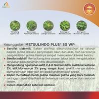 Gambar Herbisida Selektif Metsulindo Plus 80WP 40gr dari PUROTANI.ID Kab. Purworejo 4 Tokopedia