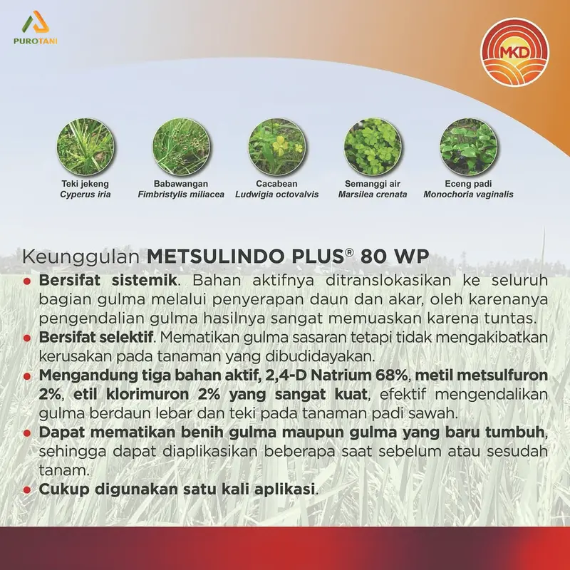 Herbisida Selektif Metsulindo Plus 80WP 40gr
