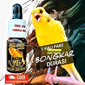 ROLLSPEED KENARI,ATASI KENARI MACET BUNYI,1 KALI PAKE LANGSUNG REAKSI