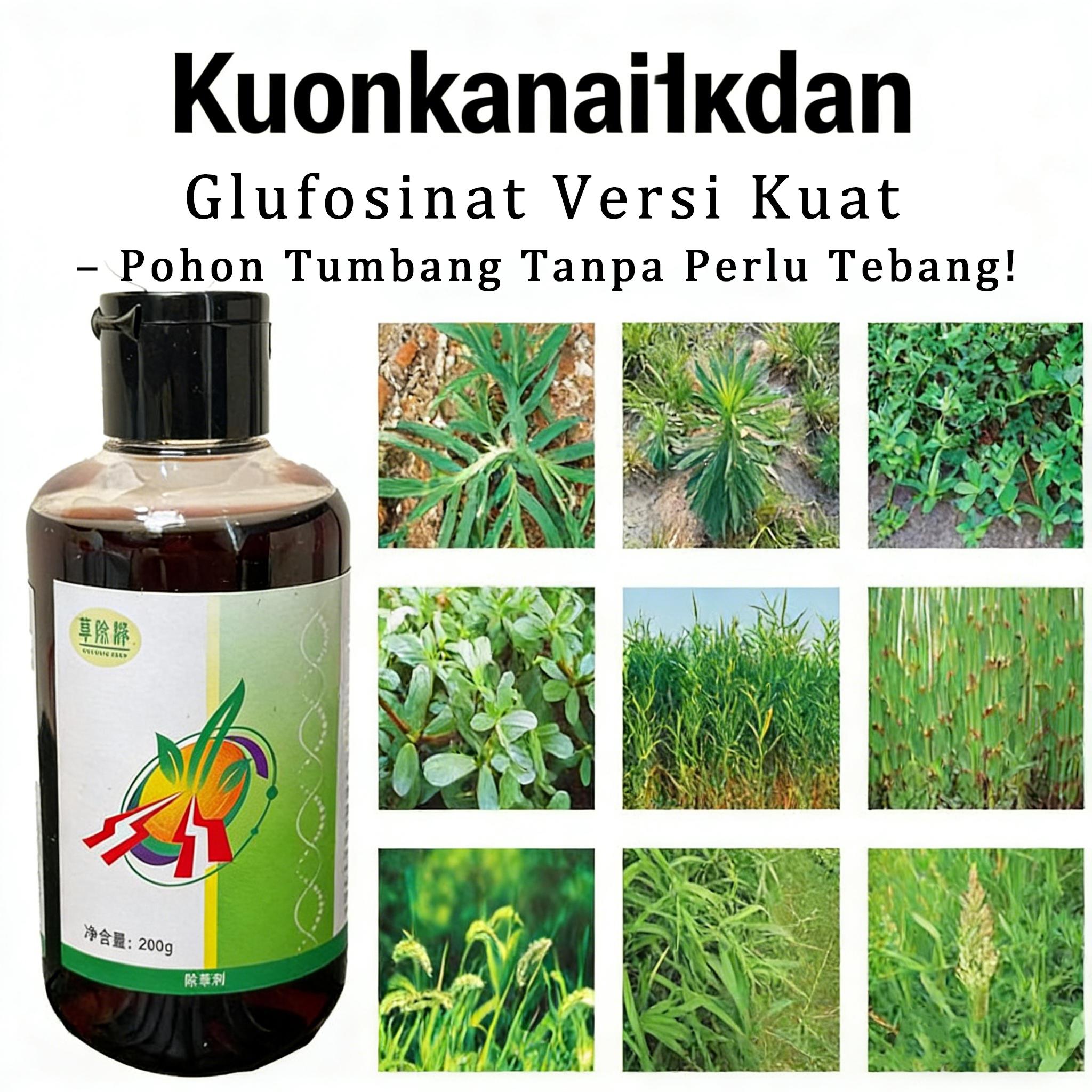 Herbisida Glufosinat Amonium Super Ampuh Membusuk Akar Sampai Mati Untuk Kebun Buah Taman Tanah Kosong Produk Asli Grosir Jual Langsung Pabrik