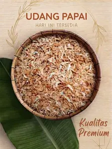 UDANG REBON atau UDANG PAPAI atau UDANG HALUS sea food asli dari Kalimantan Selatan