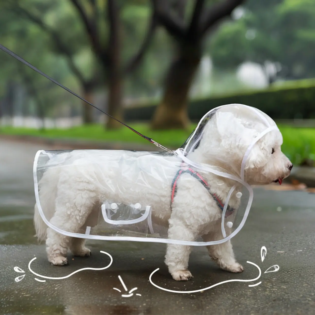 Transparent Waterproof Pet Raincoat Lightweight Windproof Cape Dog Walking Artifact Small and Medium-sized Dog Bichon Teddy