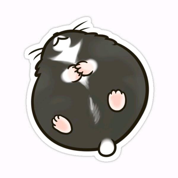 Sticker Campbell Hammy Polos 0