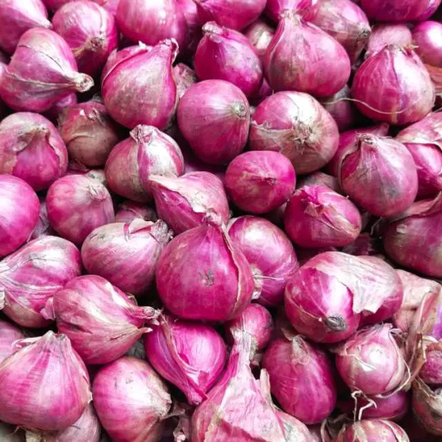 1kg bawang merah lokal nganjuk ukuran campurr