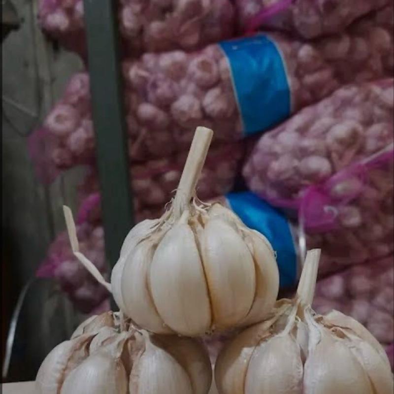 Bawang merah1 kg dan bawang putih 1kg mix umkm Food Pedas Goreng Bahan Masakan Garlic 5