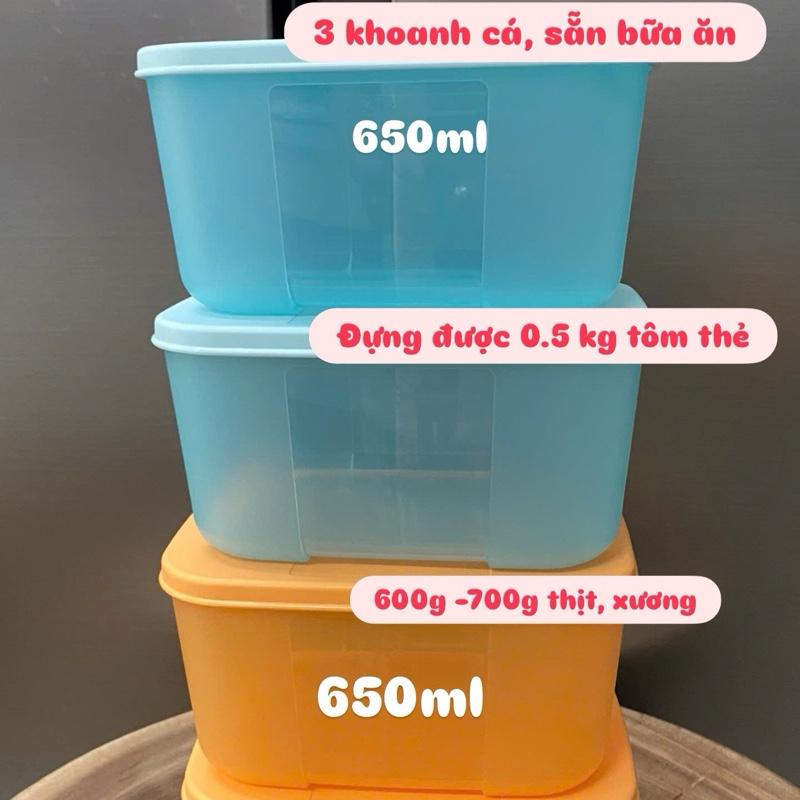 Hộp đông 650ml full màu tupperware 4 hộp nhựa nguyên sinh chuyên trữ thực phẩm ngăn đông . Hộp bảo quản thực phẩm.
