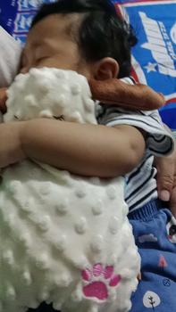 Product Review of Tuala Menenangkan untuk Bayi, Tuala Menenangkan, Mainan Tidur, Teether Anak Patung, Boleh Digigit, Mainan Boneka Mewah, Haiwan Patung Baby from A**h r**p 0
