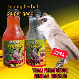 Raja trucuk , doping penggacor trucuk bahan dan macetan Dijamin burung trucuk jadi tambah gacor konslet