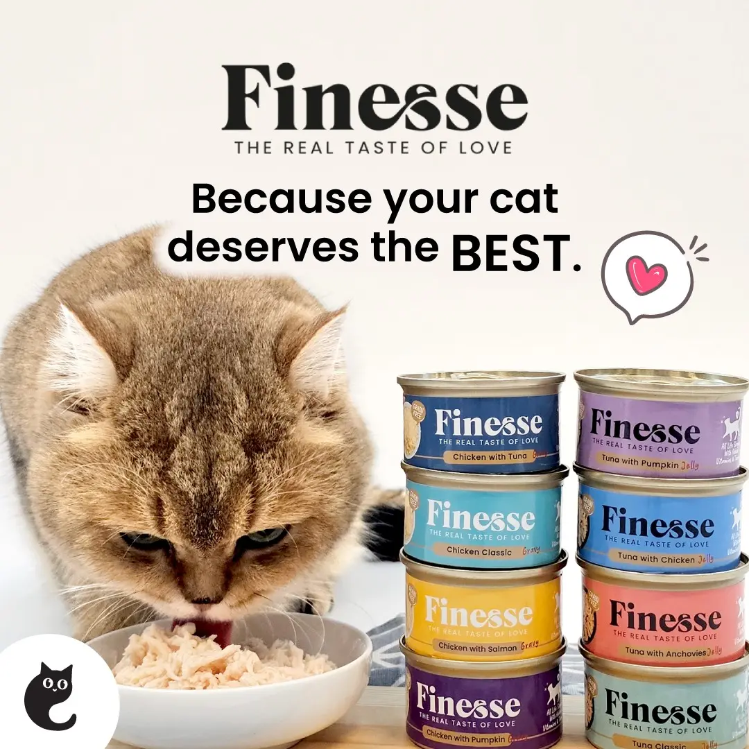 CatSmart Finesse Cat Canned Food Grain-Free 85g (24 cans)