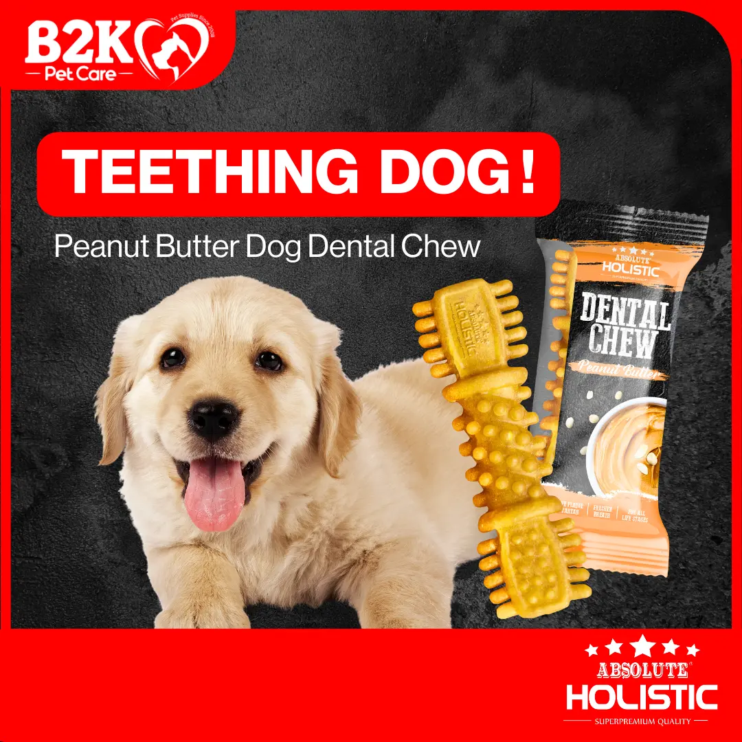 Absolute Holistic Dog Dental Chew 4" (1pc) | (Single Pack)