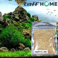 Gambar TaffHOME Bibit Rumput Air Dekorasi Aquarium Landscape Ornament 10g - H0027 - Big Fescue dari Taffware Official Store Kota Administrasi Jakarta Barat 5 Tokopedia