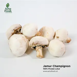 Jamur Kancing , Champignon  segar, Artofresh