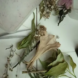 Pengawet Bunga Segar 500gr Kreasi DIY Dan Pengawetan Bunga Silica Gel Powder Reusable Efektif