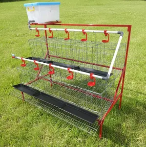 Kandang ayam petelur FUL SET 2 SUSUN kapasitas 20 ayam harga termurah SE-INDONESIA