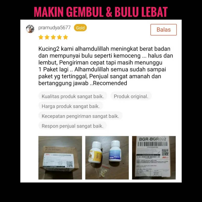 VITAMIN KUCING NAFSU MAKAN PENGGEMUK BULU RONTOK KUCING ANTIBODY KUCING BIAR GEMUK PENAMBAH NAFSU MAKAN KUCING CEGAH RONTOK BULU KUSAM JAMURAN MAX VIT ROYAL CARE BIG CAT BABAH CAT HOUSE CLEVER SOLUTION CUTE CAT perawatan bulu & kulit bisa dikunyah 5
