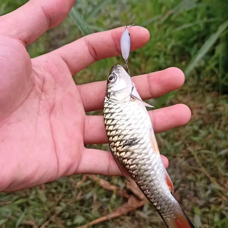 Swimbait 2cm micro|Swimbait2cm|Swimer2cm|Umpan casting micro|ikan palsu 1