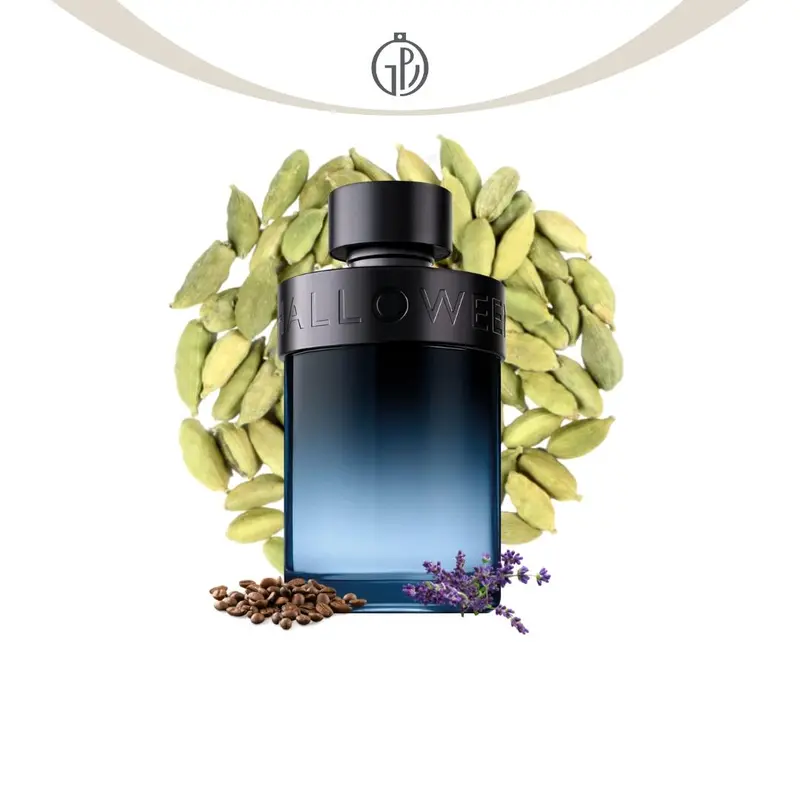 Parfum Fragrance World Suits for Unisex EDP 100 ml TikTok Shop