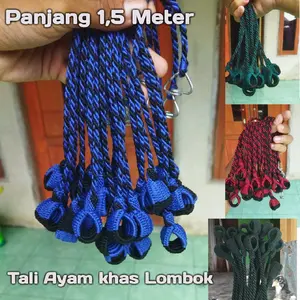 Tali Ayam Philipin, kampung & Tali Ayam Hutan.Panjang 1,5 Meter!