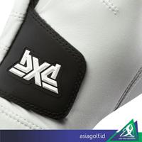 Gambar Glove Pxg Golf Cabretta Leather | Sarung Tangan Golf - Black, S/22 dari Asia Golf Indonesia Kota Administrasi Jakarta Pusat 4 Tokopedia