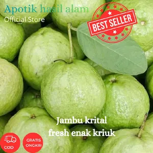 Promo Terbaru 1 KG Jambu Kristal Segar Fresh Dijamin Enak Kriuk Renyah Bisa COD Frozen Zuriat Buah Banyak Protein