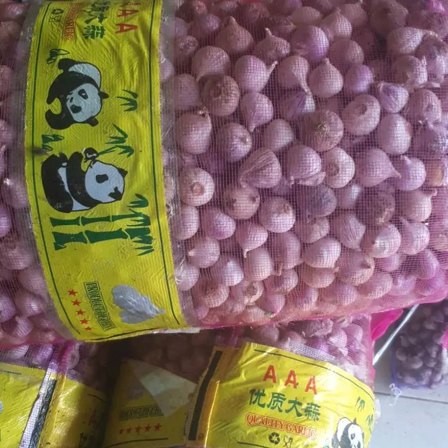 Bawang Putih Tunggal Segar - Kecombrang