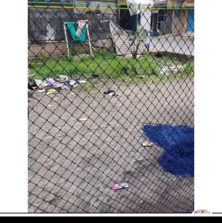 jaring pagar 3 x 100meter sudah dipasangkan tali atas bawah 2