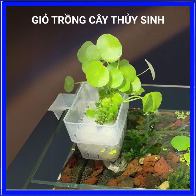 Cốc Trồng Cây Treo Thành Bể Mica Nhựa Giỏ Trồng Cây Thủy Sinh Khoai Lang Cỏ Nước Cây Thủy Canh Trang Trí Hồ Cá